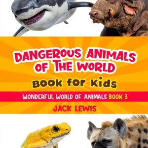 Wonderful World of Animals Book 3 Zoo Adventures Kids Starry Dreamer-0